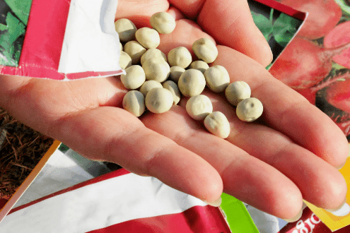 Как удобно и безопасно приобрести семена онлайн с доставкой